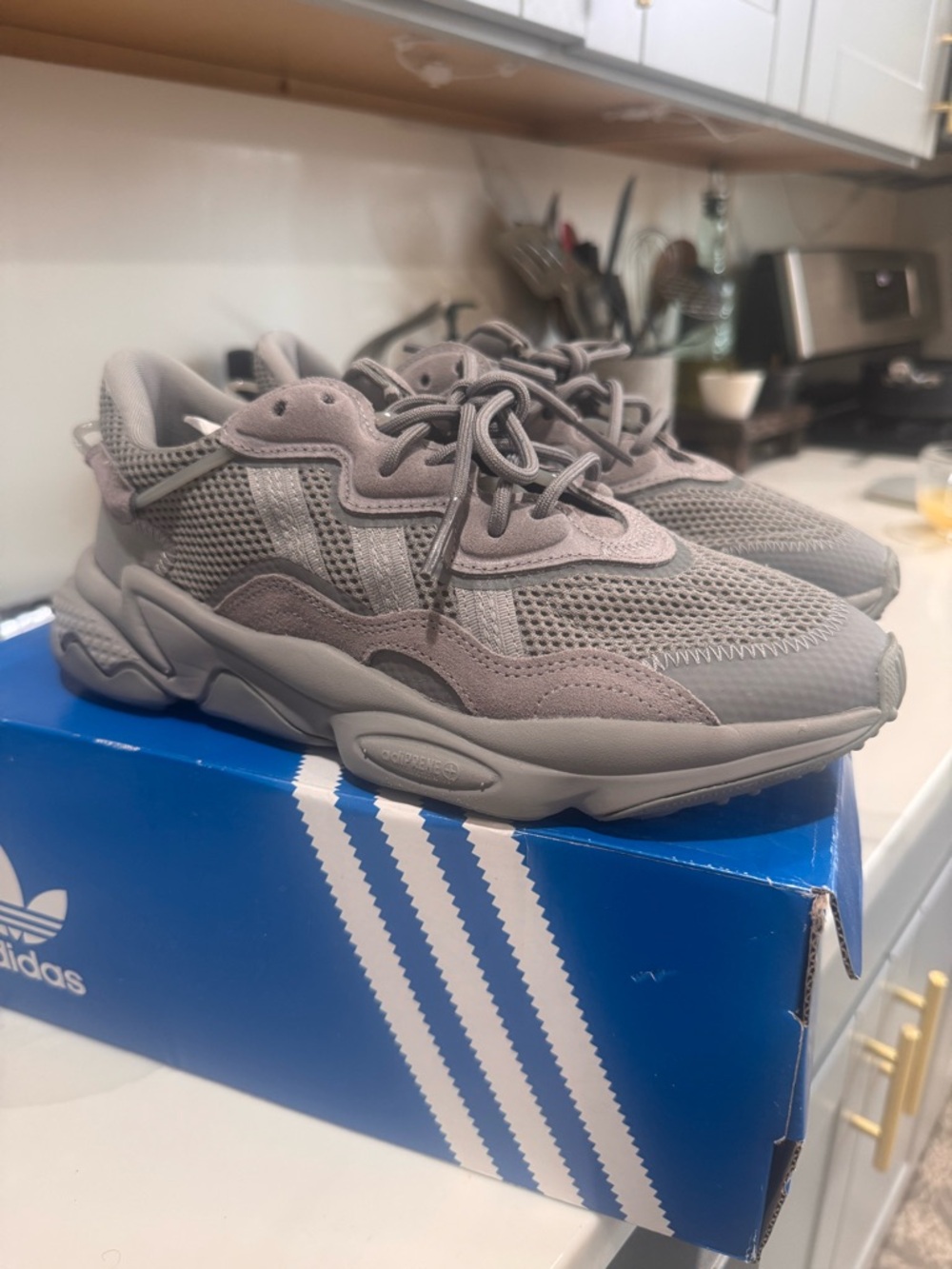 adidas Ozweego W Box Label – Blue and White